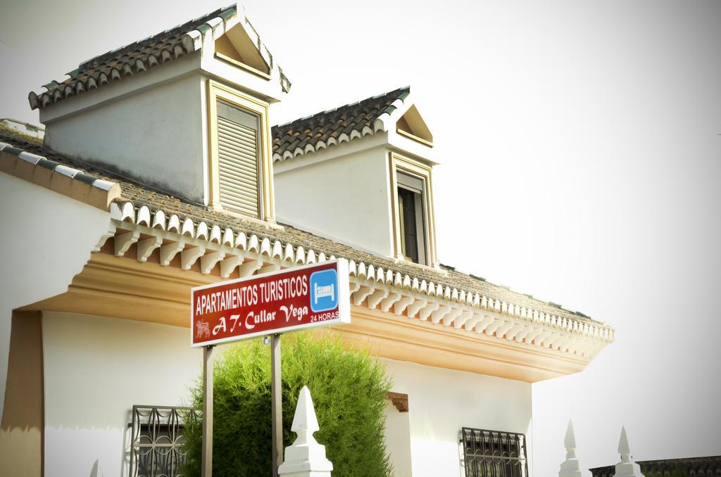 Apartamentos Turisticos Cullar Vega Εξωτερικό φωτογραφία